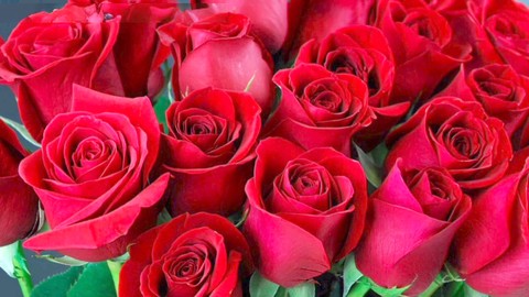 バングラ, 巨尻アナル, 天然巨乳