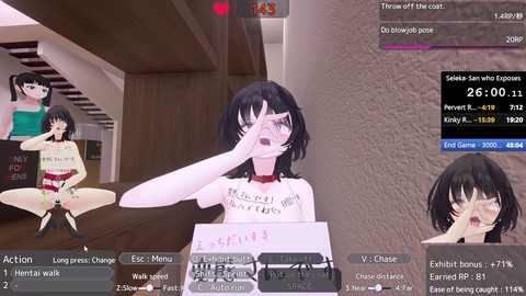 Gaming, speedrun, game